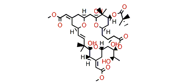 Bryostatin 18